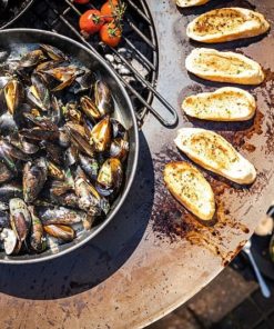 Muscheln auf Bonbiuza