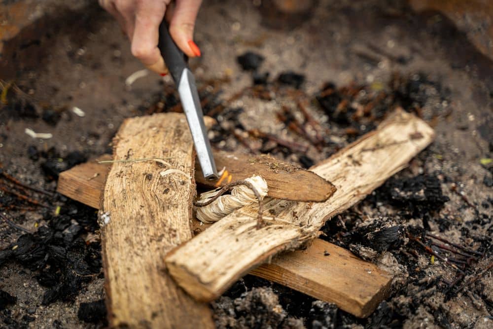 welches Holz zum Planchagrillen